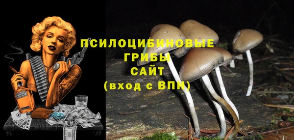 стаф Надым