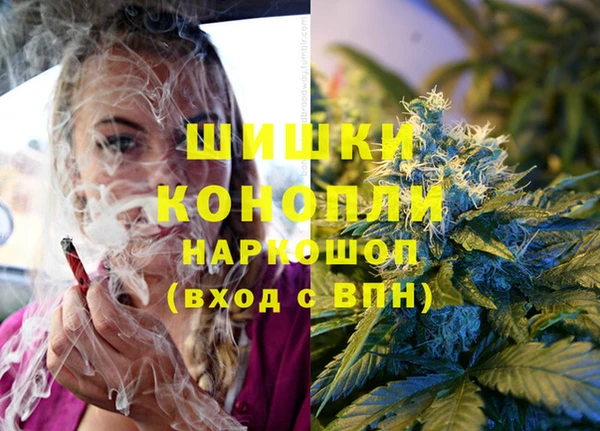 шишки Нефтегорск