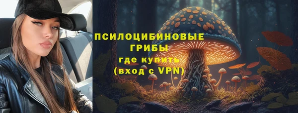 PSILOCYBIN Елабуга