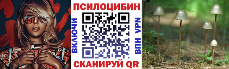 Псилоцибиновые грибы Psilocybe  KRAKEN ссылка  Кинель  где найти  