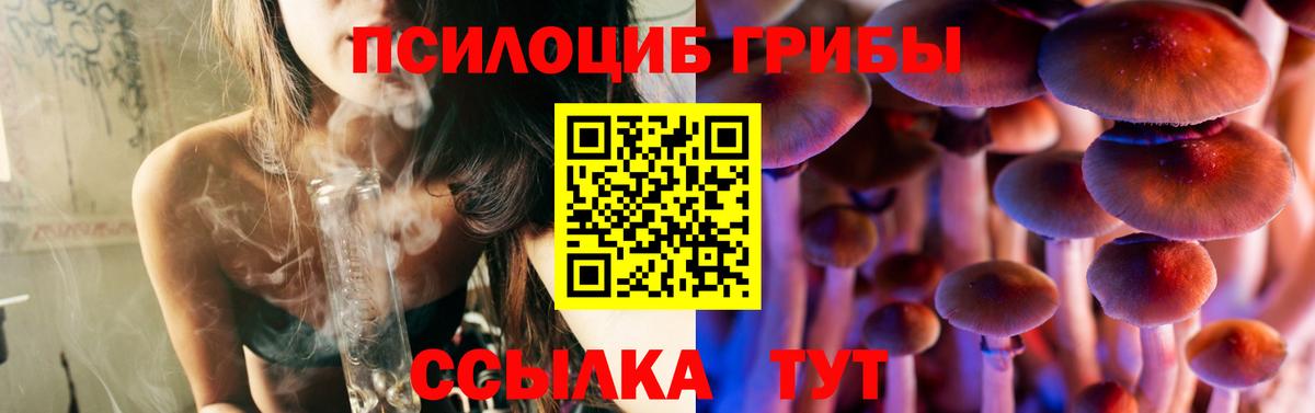 Псилоцибиновые грибы Psilocybe  Галлюциногенные грибы прущие грибы  Кинель  Вход с VPN 