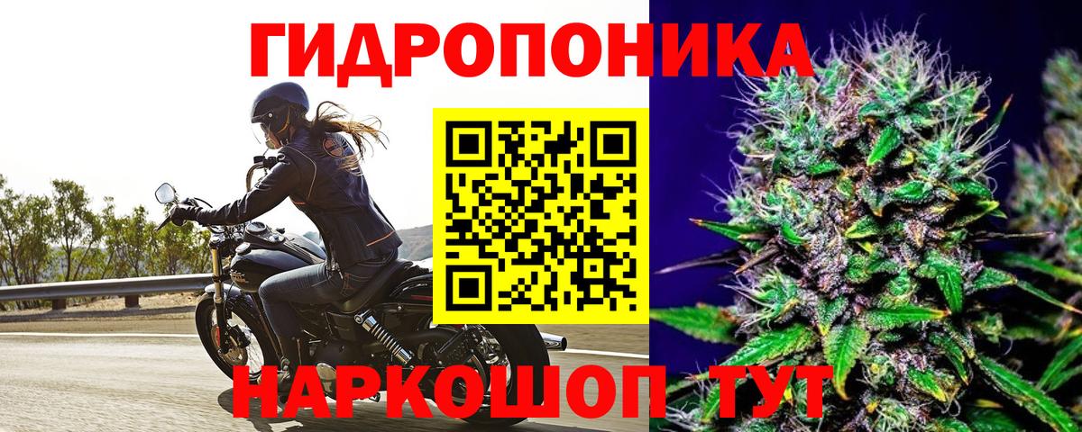 Марихуана тримм  Вход с VPN  Канабис VHQ  МАРИХУАНА LSD WEED  Конопля сатива  Кинель 
